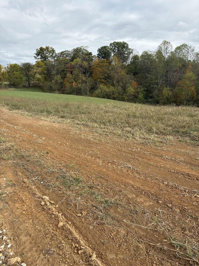 Pine Grove Ch Spur Rd, Vanceburg, KY 41179 - photo 4