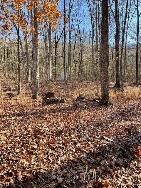 0 Tbd unit 1263583, Crosses, AR 72727 - photo 3