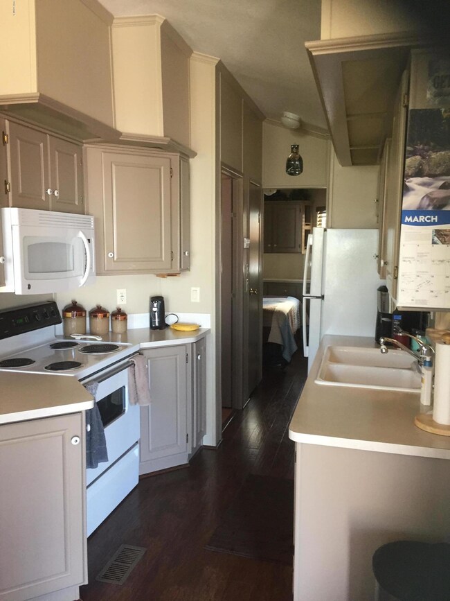 pic1