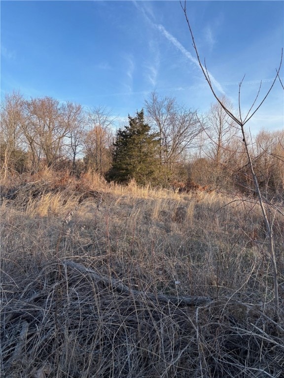 TBD Lot 7 Red Bud St, Green Forest, AR 72638 - photo 3