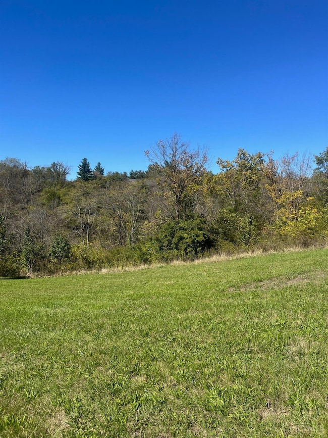 6384 Conifer Ln, Cincinnati, OH 45247 - photo 5