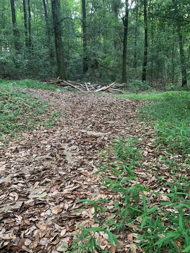 688 Selma Hwy, Prattville, AL 36067 - photo 6