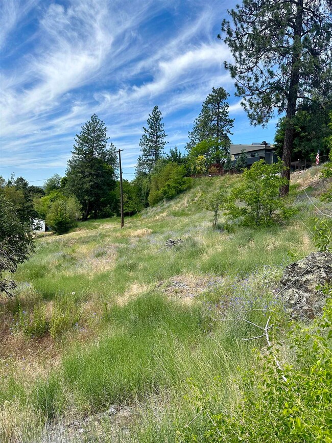 3028 N Belt St, Spokane, WA 99205 - photo 4