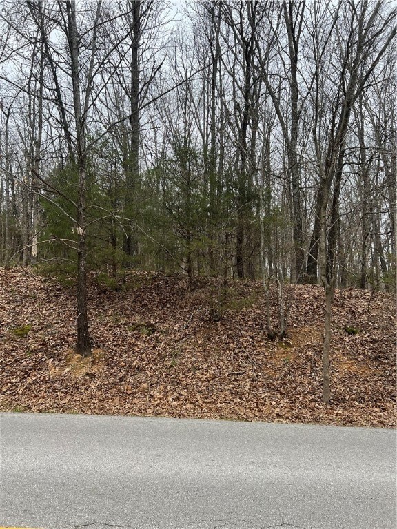 4 Oniell Dr, Bella Vista, AR 72715 - photo 2