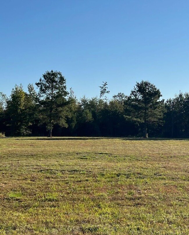 67 Beaver Pond Rd, Luverne, AL 36049 - photo 5