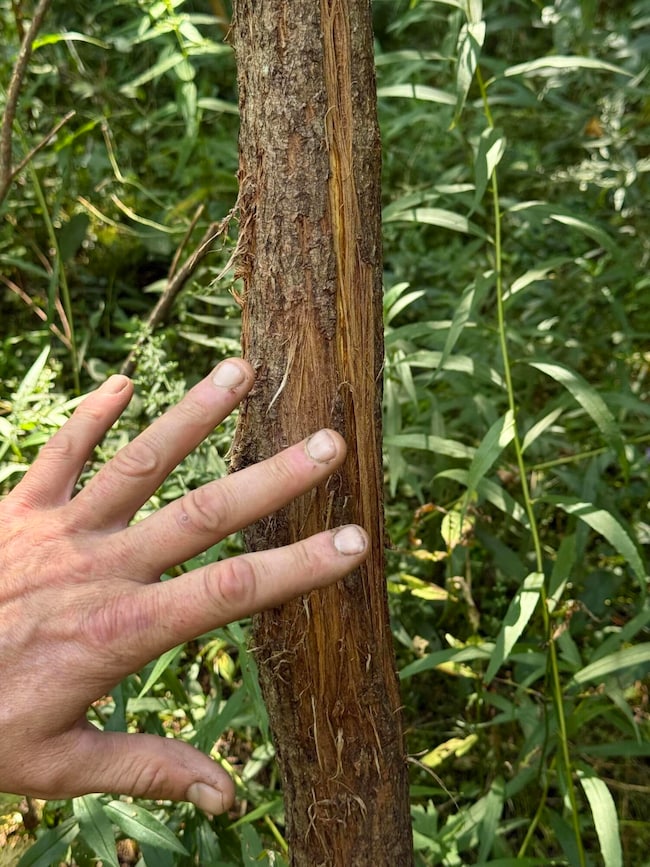 00 Town Line Rd, West Chazy, NY 12992 - photo 4