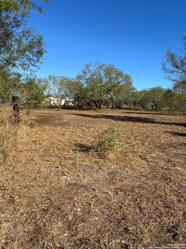 00 Mesquite and Mulberry, Jourdanton, TX 78026 - photo 6