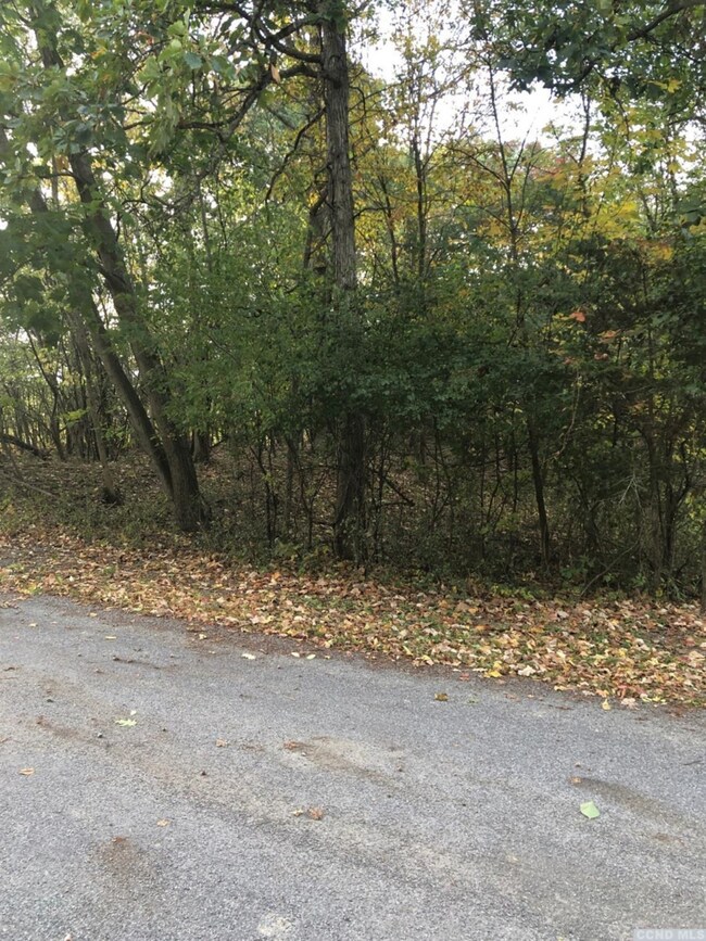 75 - RR Market Ln, Coxsackie, NY 12051 - photo 4