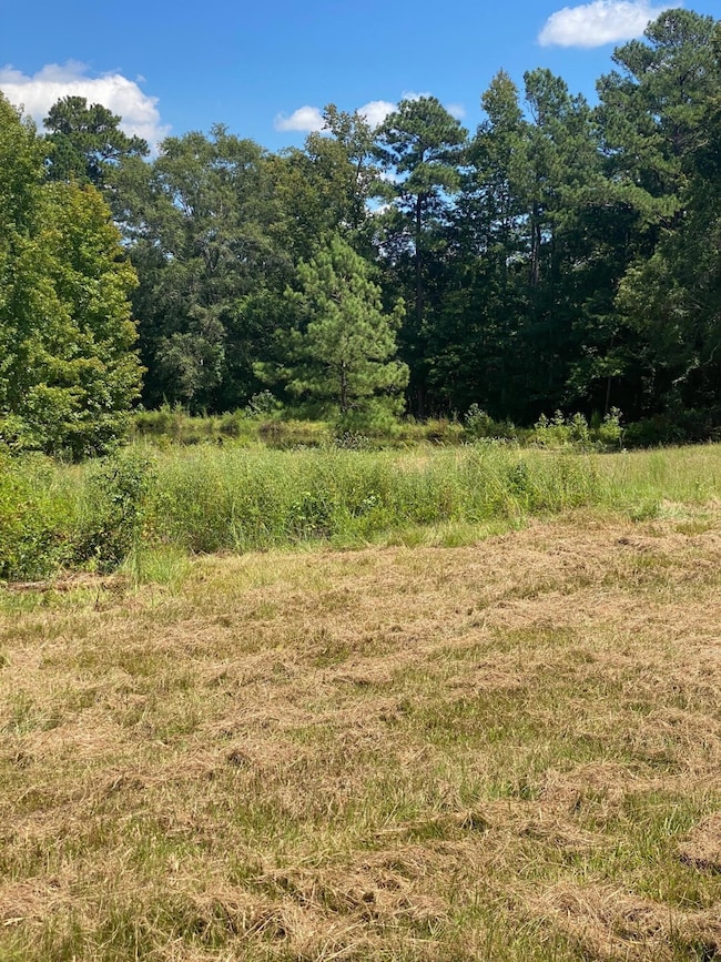 pic 6