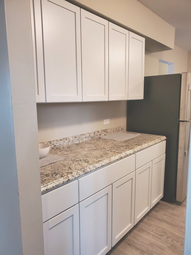 unlisted-address, Country Club Hills, IL 60478 - photo 4