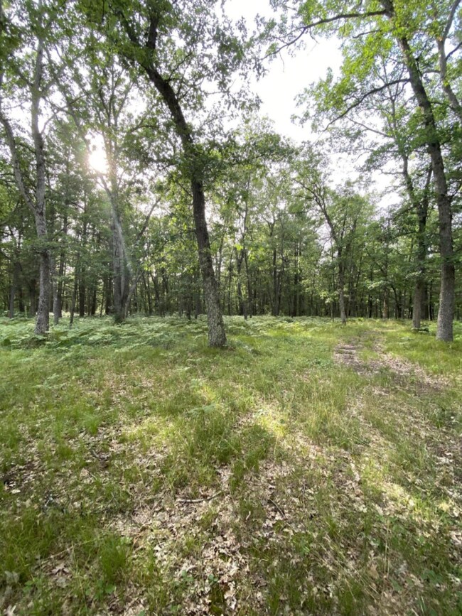 4298 W 8th St, Baldwin, MI 49304 - photo 7