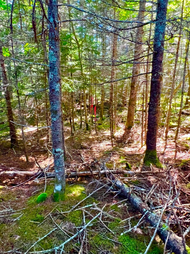 2.51 +/- acres.
