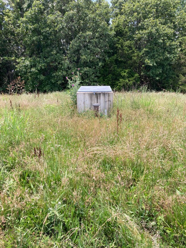 000 County Rd O-532 unit 13, Ava, MO 65608 - photo 6