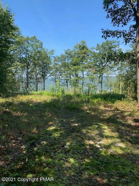 0 Flagstaff Rd unit PM-89080, Jim Thorpe, PA 18229 - photo 4