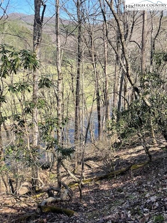 TBD Spruce Ln, Crumpler, NC 28617 - photo 4