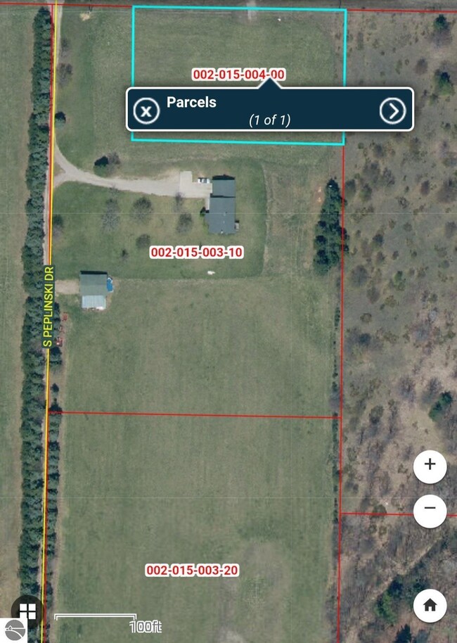 5546 E Hohnke Rd, Cedar, MI 49621 - photo 5