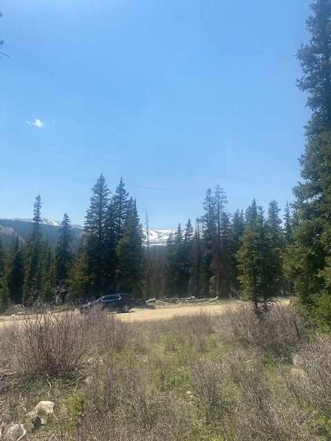 0 Tbd unit S1027519, Fairplay, CO 80440 - photo 6