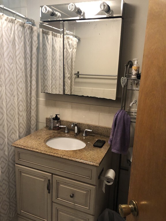 248 River St unit 1, Waltham, MA 02453 - photo 3