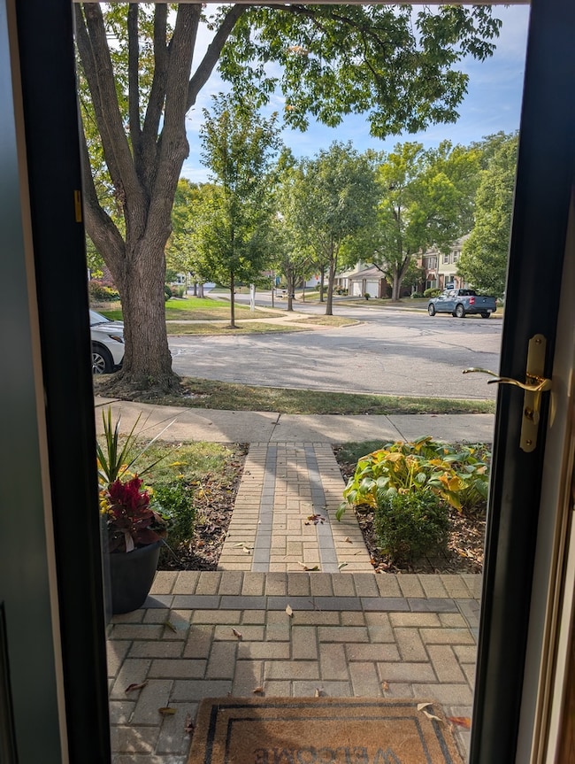 Neighborhood view fron inside front storm door.