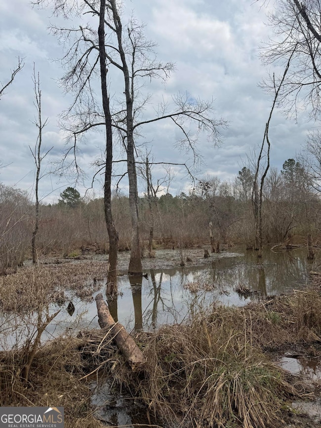 0 Jordon Rd unit 10652075, Waverly Hall, GA 31831 - photo 6