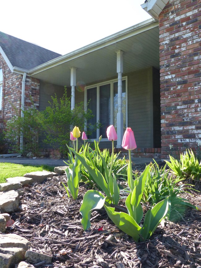 712 Wasson Dr, Nixa, MO 65714 - photo 7