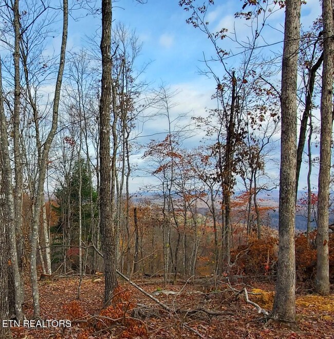 0 Bull Creek Lot H Rd, Huntsville, TN 37756 - photo 4