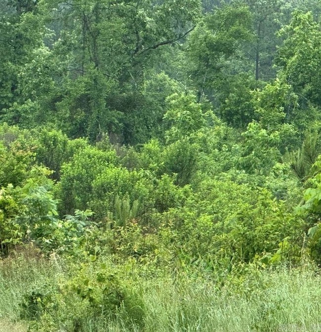 300 Block Angel St, Amity, AR 71921 - photo 2