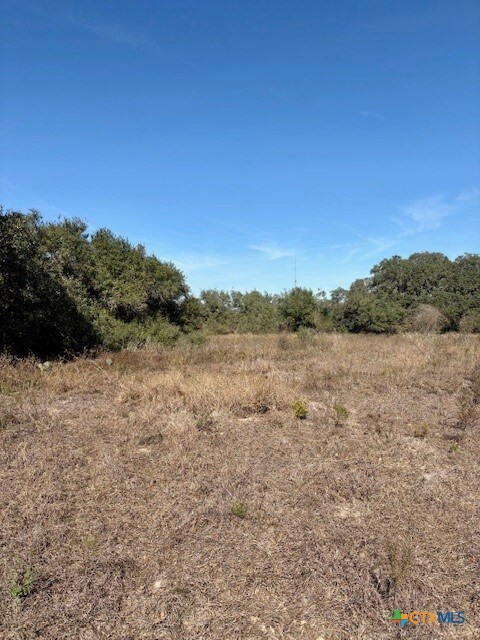 00 Quail Run Trail, Fannin, TX 77960 - photo 5
