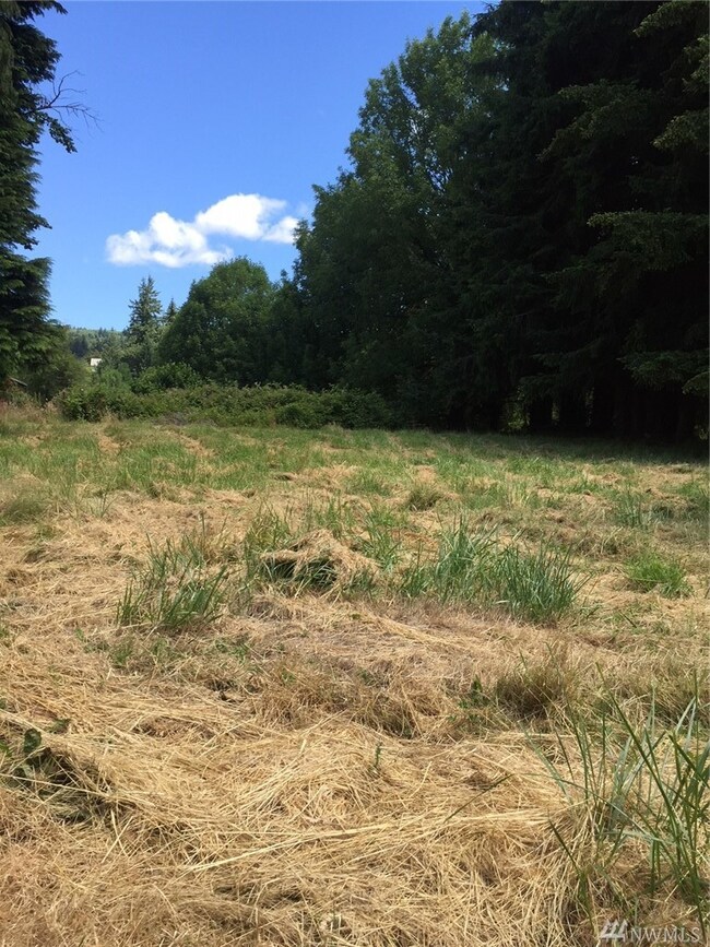 3568 Pennsylvania St, Longview, WA 98632 - photo 3