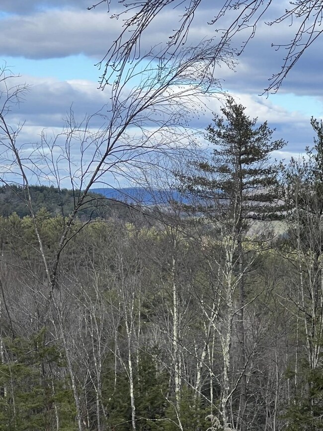 0 Westmoreland Rd, Chesterfield, NH 03462 - photo 2