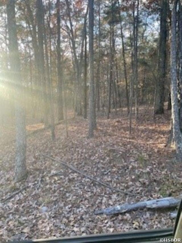 0 Rustic Hills unit 153365, Hot Springs, AR 71913 - photo 5