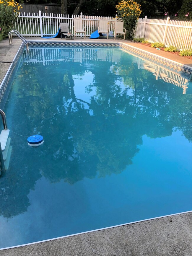 POOL PIC 2 lighter