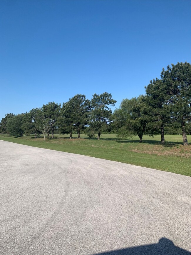 36725 Fm 1774 Rd, Magnolia, TX 77355 - photo 5