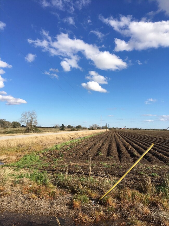 Tract A Boone Rd, Needville, TX 77461 - photo 4