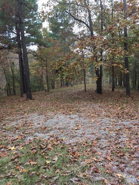 00 Highlands Dr, Oxford, MS 38655 - photo 4