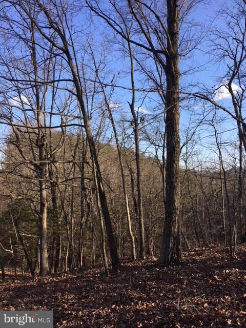 0 Gafia Lodge Rd unit 1000343272, Middletown, VA 22645 - photo 5