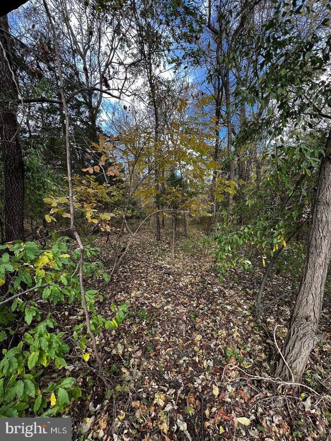 0 Poplar Rd unit VAWR2005888, Front Royal, VA 22630 - photo 4