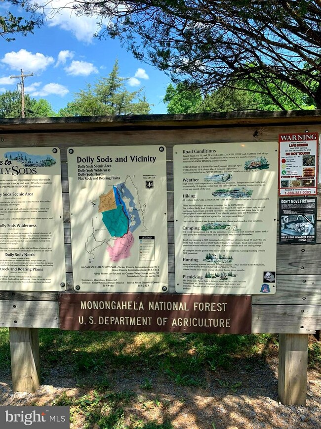 0 Wilderness Dr unit WVGT103492, Cabins, WV 26855 - photo 5