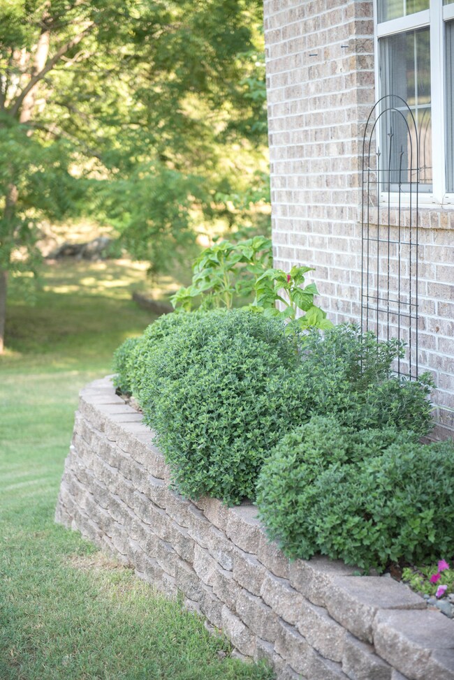 Mature Landscaping
