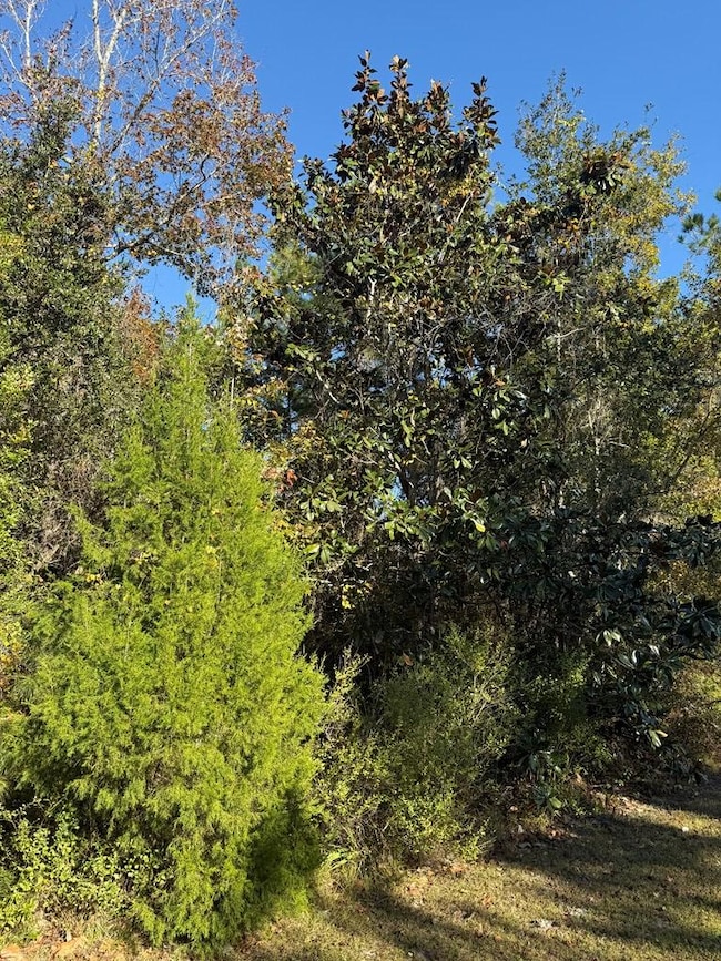 129 Water Oaks Way, Apalachicola, FL 32320 - photo 6