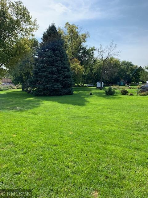 Huge backyard