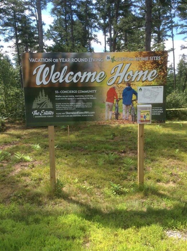 Lot 18 Friedman unit 18, Freedom, NH 03836 - photo 5