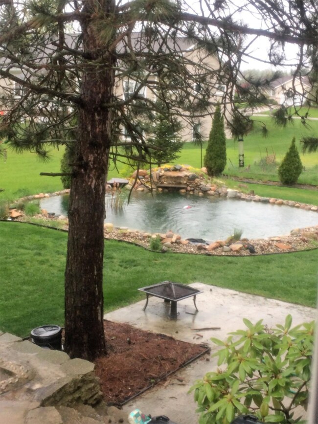 Rear pond