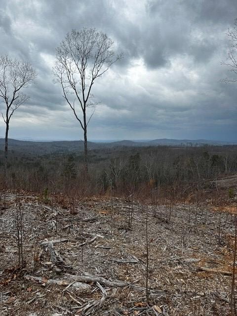 Lot 173 Shagbark Ct, Ellijay, GA 30541 - photo 6