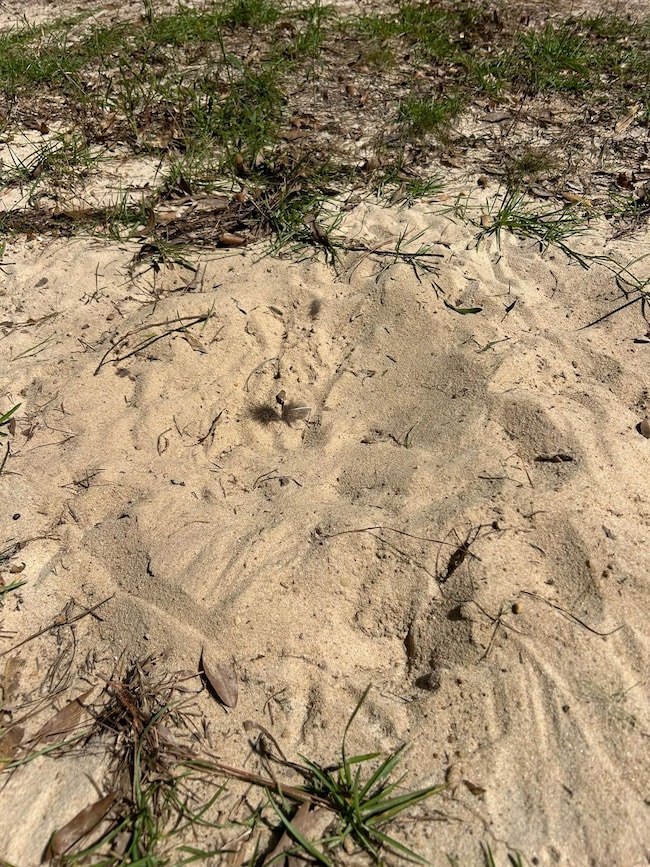 unlisted-address, Abbeville, AL 36310 - photo 4