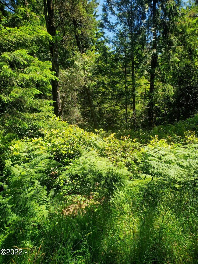 Interior of property