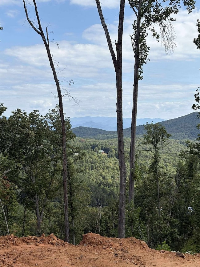 437 Skyline View Dr, Murphy, NC 28906 - photo 4