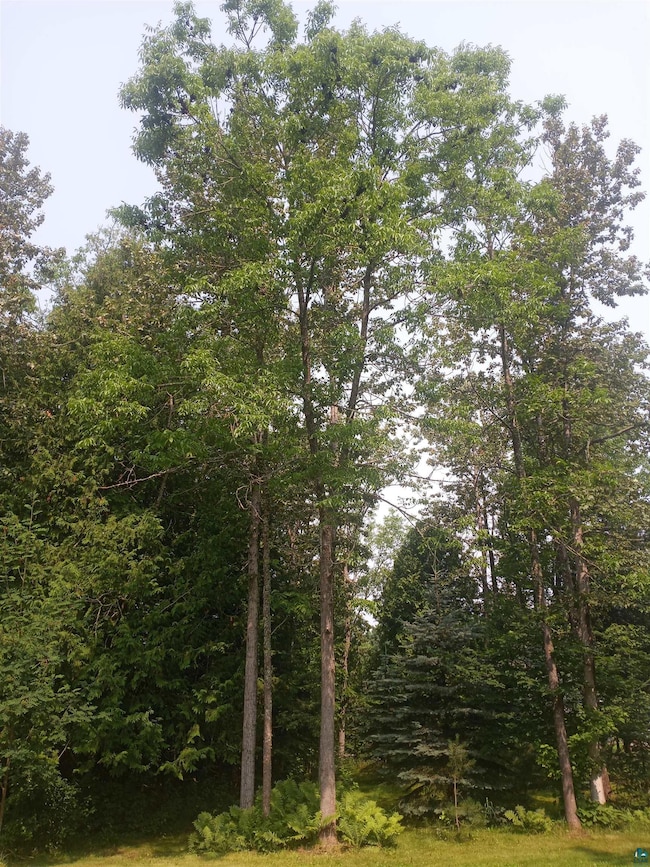 22715 Elm St, Cornucopia, WI 54827 - photo 4