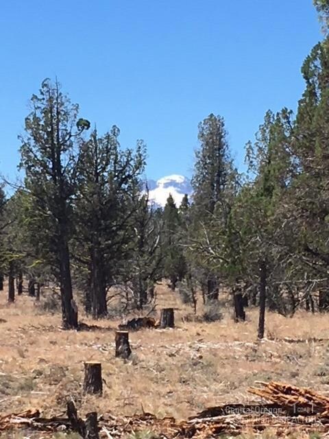 70323 Longhorn, Sisters, OR 97759 - photo 2