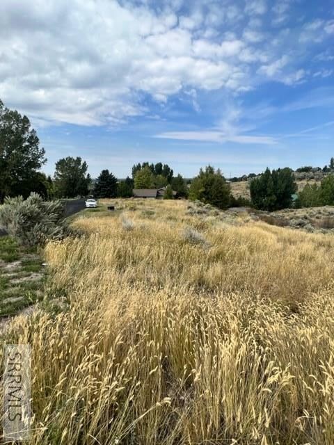 Right side view looking down